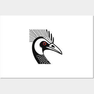 Cassowary Posters and Art